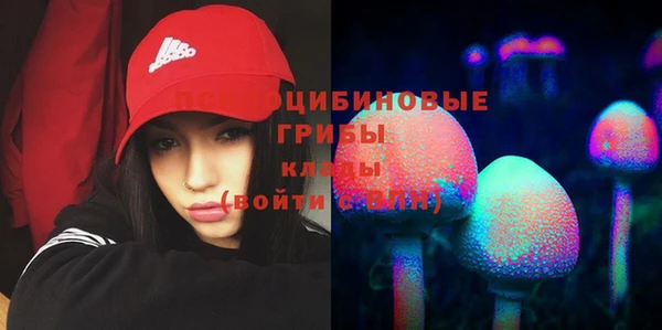 амф Беломорск