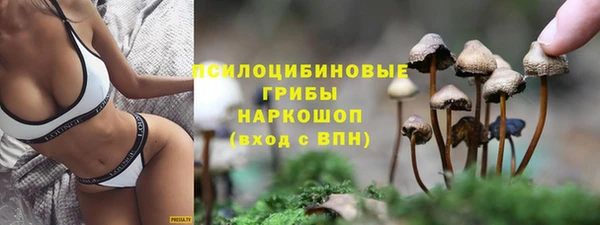 амф Беломорск