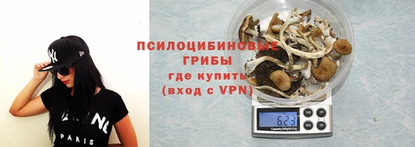 амф Беломорск