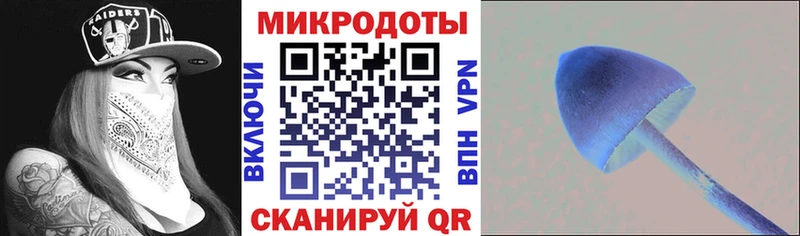 Псилоцибиновые грибы Cubensis  купить   Ахтырский 
